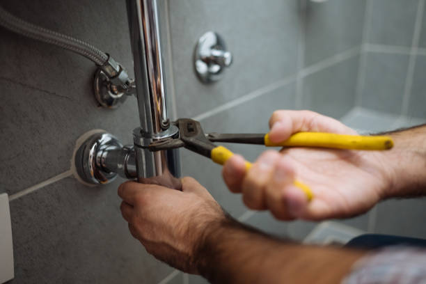 Best Residential Plumbing Services  in Lake Hallie, WI