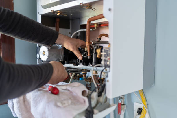Best Commercial Plumbing Services  in Lake Hallie, WI